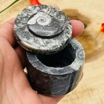 Orthoceras Cephalopod Fossil Jar with Lid | Orthoceras Fossil Crystal Round Box | Fossilized Ammonite Orthoceras Jar | Orthoceratid Fossils