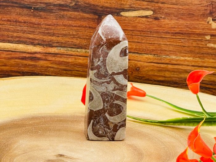 Red Fossil Tower| Red Horn Fossil Crystal Point | Fossilized Obelisk | Fossils | 4 inch