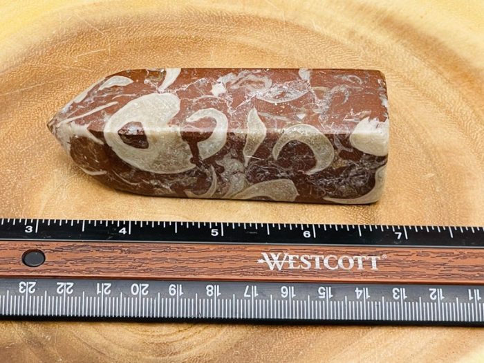 Red Fossil Tower| Red Horn Fossil Crystal Point | Fossilized Obelisk | Fossils | 4 inch