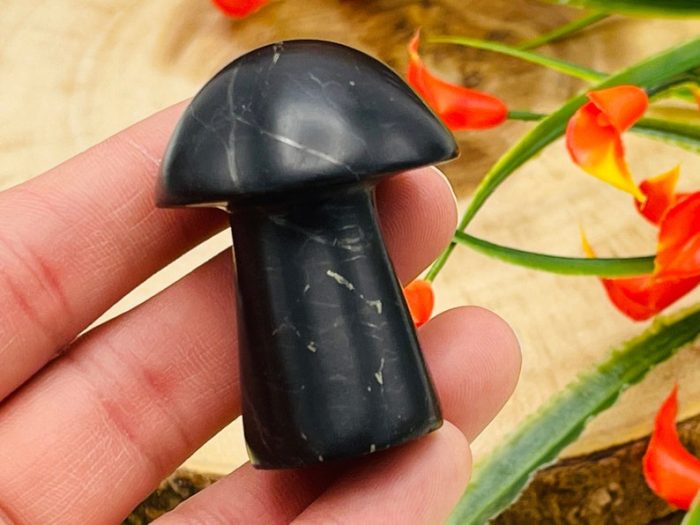 Shungite Massage Mushroom | Healing Crystal Mushroom | Face Skin Care Beauty | Massage Roller | Facial Massage Tool