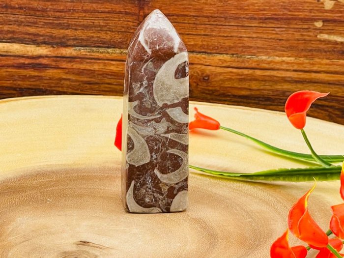 Red Fossil Tower| Red Horn Fossil Crystal Point | Fossilized Obelisk | Fossils | 4 inch