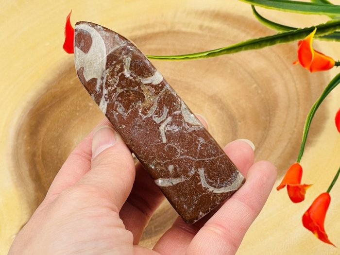 Red Fossil Tower| Red Horn Fossil Crystal Point | Fossilized Obelisk | Fossils | 4 inch