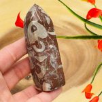 Red Fossil Tower| Red Horn Fossil Crystal Point | Fossilized Obelisk | Fossils | 4 inch