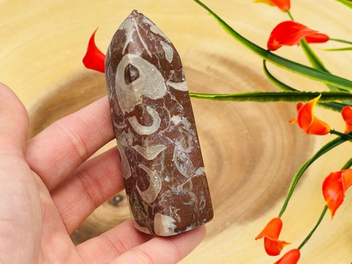 Red Fossil Tower| Red Horn Fossil Crystal Point | Fossilized Obelisk | Fossils | 4 inch