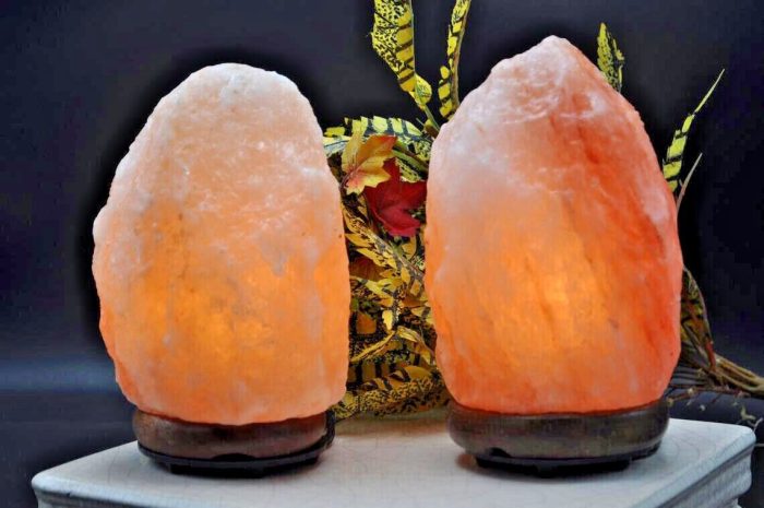 Set of 2 Natural Himalayan Pink Crystal Rock Salt Lamps | 6-8 LB | Salt Ionizer with Dimmer Switch