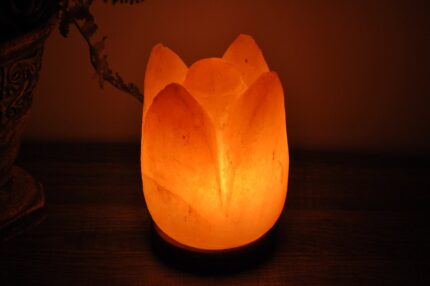 Pink Salt Lotus Flower Shape Lamp