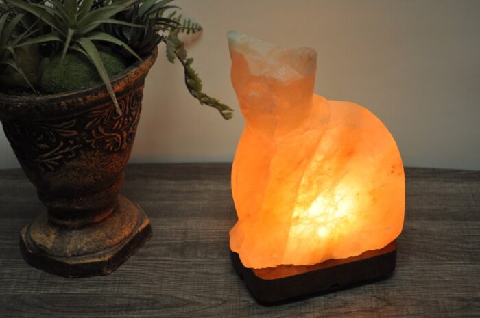 Pink Salt Cat Shape Lamp