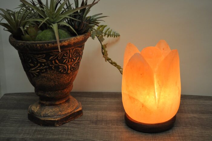 Pink Salt Lotus Flower Shape Lamp