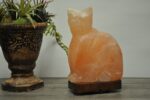 Pink Salt Cat Shape Lamp