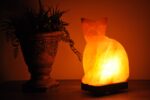 Pink Salt Cat Shape Lamp