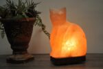 Pink Salt Cat Shape Lamp