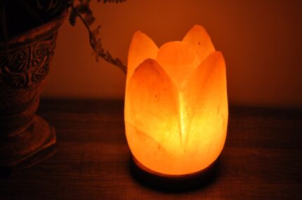 Pink Salt Lotus Flower Shape Lamp