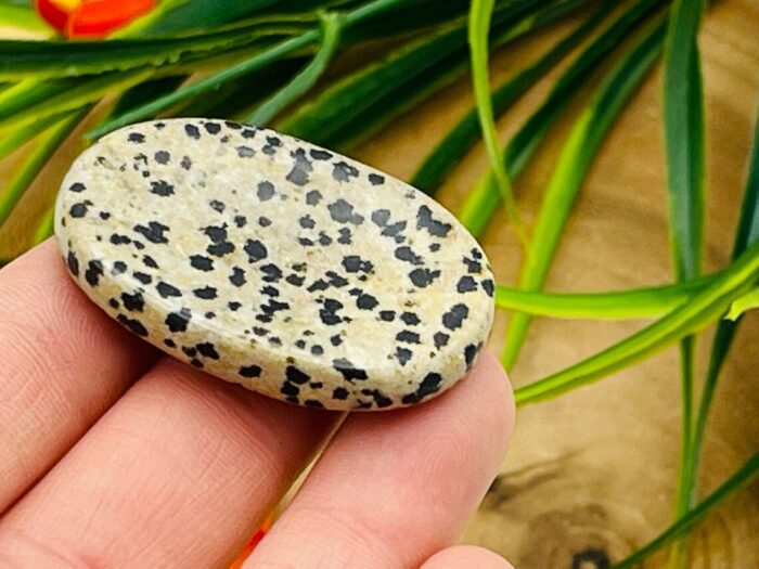 Dalmatian Jasper Worry Stone