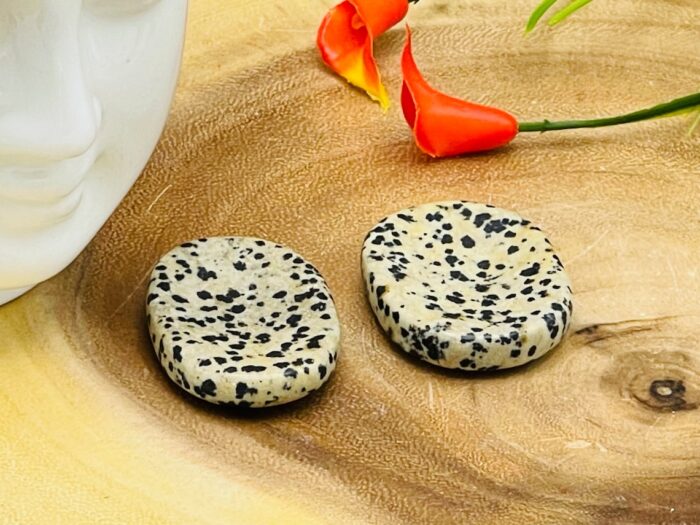 Dalmatian Jasper Worry Stone