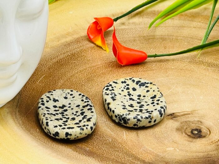 Dalmatian Jasper Worry Stone