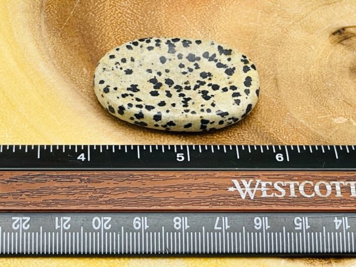 Dalmatian Jasper Worry Stone