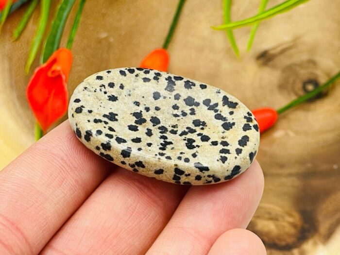 Dalmatian Jasper Worry Stone