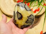 Septarian Free Form Crystal