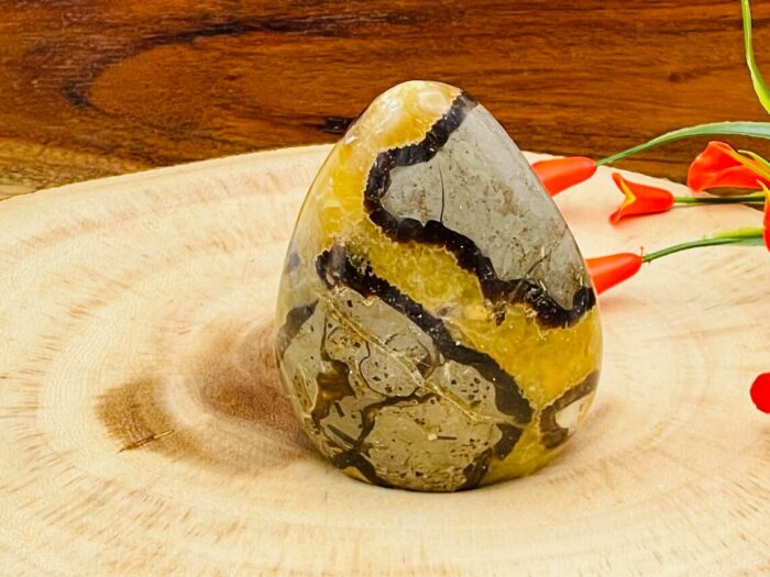 Septarian Free Form Crystal