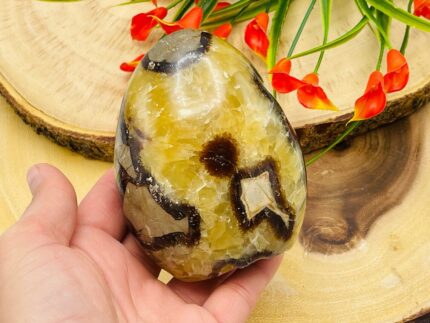 Septarian Free Form Crystal