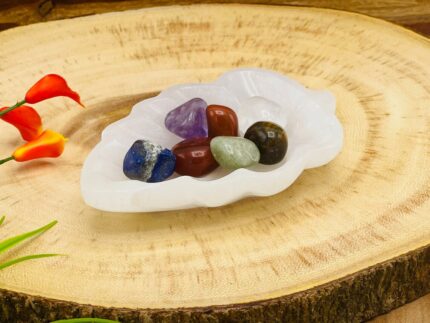 Leaf Shape Charging Bowl