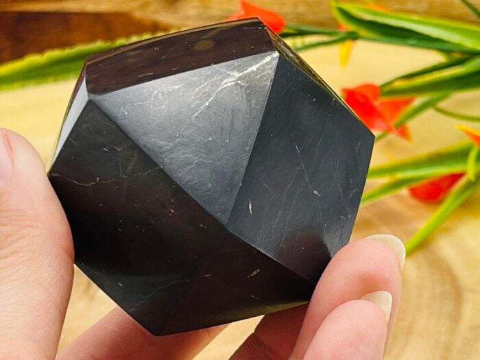 Shungite Hexagon | Shungite Crystal Diamond Hexagon | Healing Crystal | Highly Energetic Metaphysical | EMF Protection | 2 inch