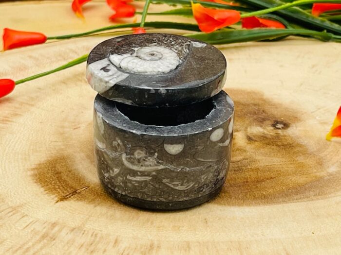 Orthoceras Cephalopod Fossil Jar with Lid, Orthoceras Fossil Crystal Round Ring Box, Fossilized Ammonite Orthoceras Jar, Orthoceratid Fossil