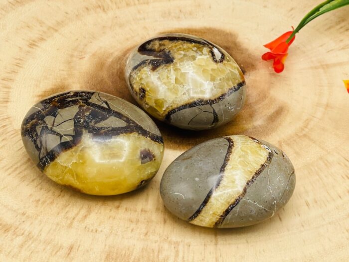 Septarian Palm Stone | Yellow Septarian Dragon Pocket Palm Stone | Chakra Cleansing & Balance | Metaphysical Crystal | Septarian Nodule