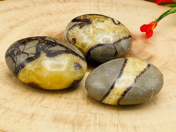 Septarian Palm Stone | Yellow Septarian Dragon Pocket Palm Stone | Chakra Cleansing & Balance | Metaphysical Crystal | Septarian Nodule