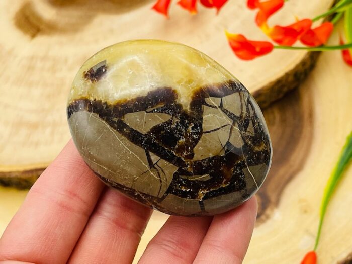 Septarian Palm Stone | Yellow Septarian Dragon Pocket Palm Stone | Chakra Cleansing & Balance | Metaphysical Crystal | Septarian Nodule