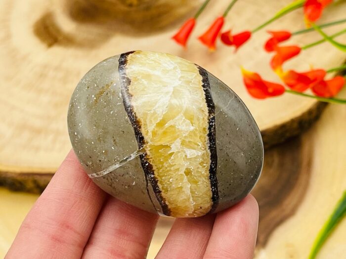 Septarian Palm Stone | Yellow Septarian Dragon Pocket Palm Stone | Chakra Cleansing & Balance | Metaphysical Crystal | Septarian Nodule