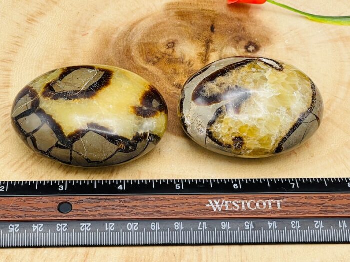 Septarian Palm Stone | Yellow Septarian Dragon Pocket Palm Stone | Chakra Cleansing & Balance | Metaphysical Crystal | Septarian Nodule