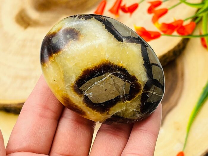 Septarian Palm Stone | Yellow Septarian Dragon Pocket Palm Stone | Chakra Cleansing & Balance | Metaphysical Crystal | Septarian Nodule