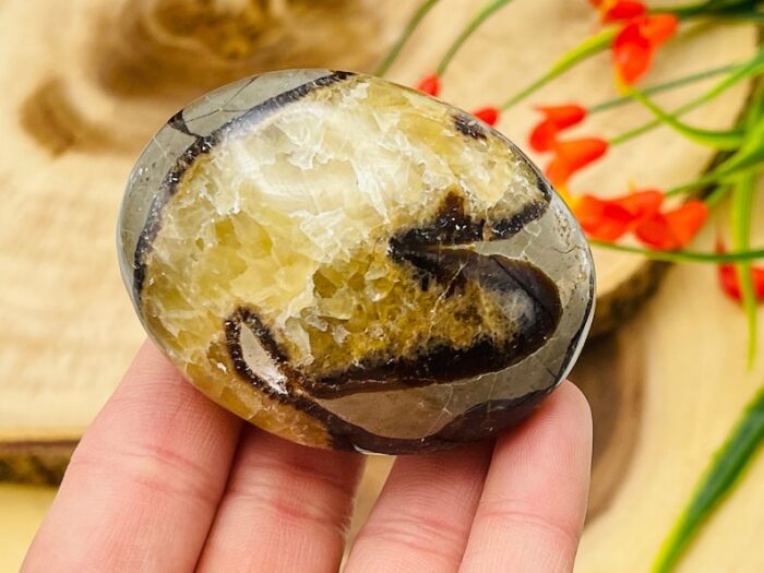 Septarian Palm Stone | Yellow Septarian Dragon Pocket Palm Stone | Chakra Cleansing & Balance | Metaphysical Crystal | Septarian Nodule