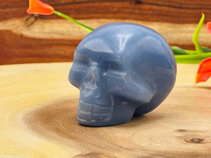Angelite Crystal Skull, Realistic Detail Fine Art Sculpture, Metaphysical Crystal 2 Inch