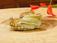 Banded Green Onyx Dragon Head, Crystal Dragon Skull, Realistic Details & Fine Art Sculpture 2 Inch