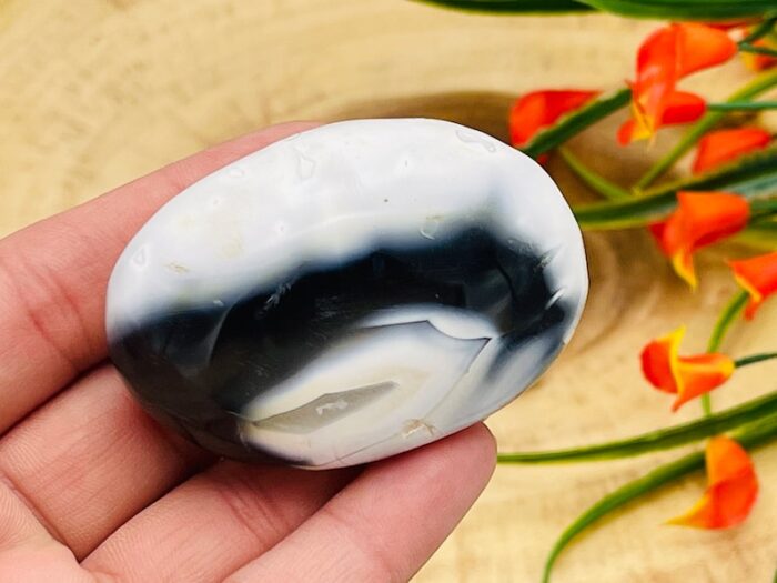 Orca Agate Palm Stone, Crystal Pocket Therapy Stone, 2 - 2.5 Inch