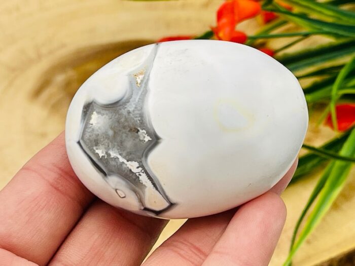 Orca Agate Palm Stone, Crystal Pocket Therapy Stone, 2 - 2.5 Inch