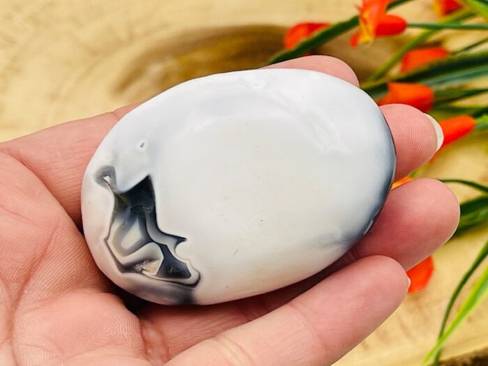 Orca Agate Palm Stone, Crystal Pocket Therapy Stone, 2 - 2.5 Inch