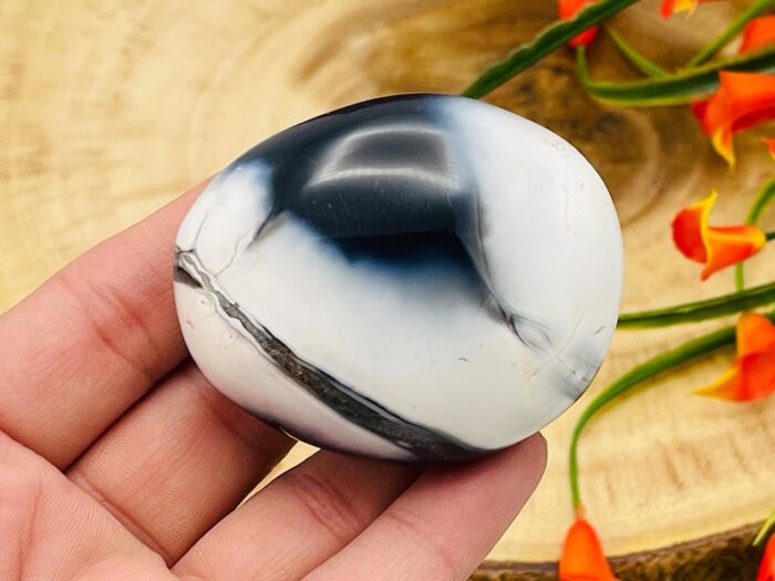 Orca Agate Palm Stone, Crystal Pocket Therapy Stone, 2 - 2.5 Inch