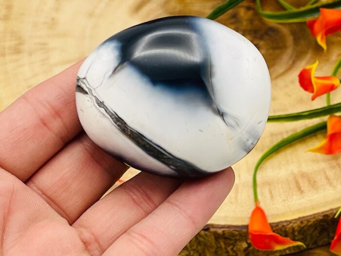 Orca Agate Palm Stone, Crystal Pocket Therapy Stone, 2 - 2.5 Inch